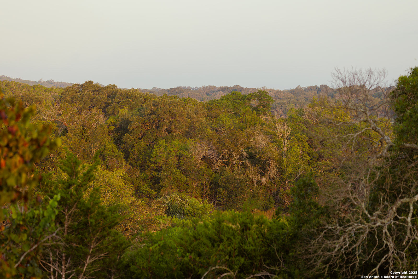3067 Ranch Road 1888 Blanco TX 78606