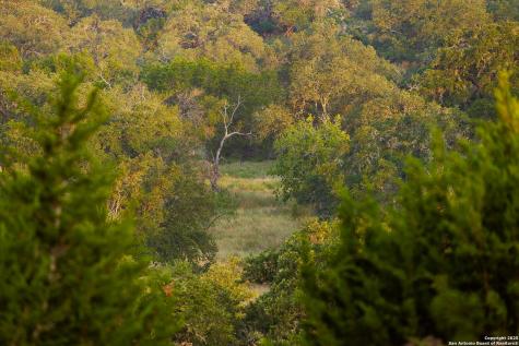 3067 Ranch Road 1888 Blanco TX 78606