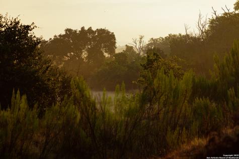 3067 Ranch Road 1888 Blanco TX 78606