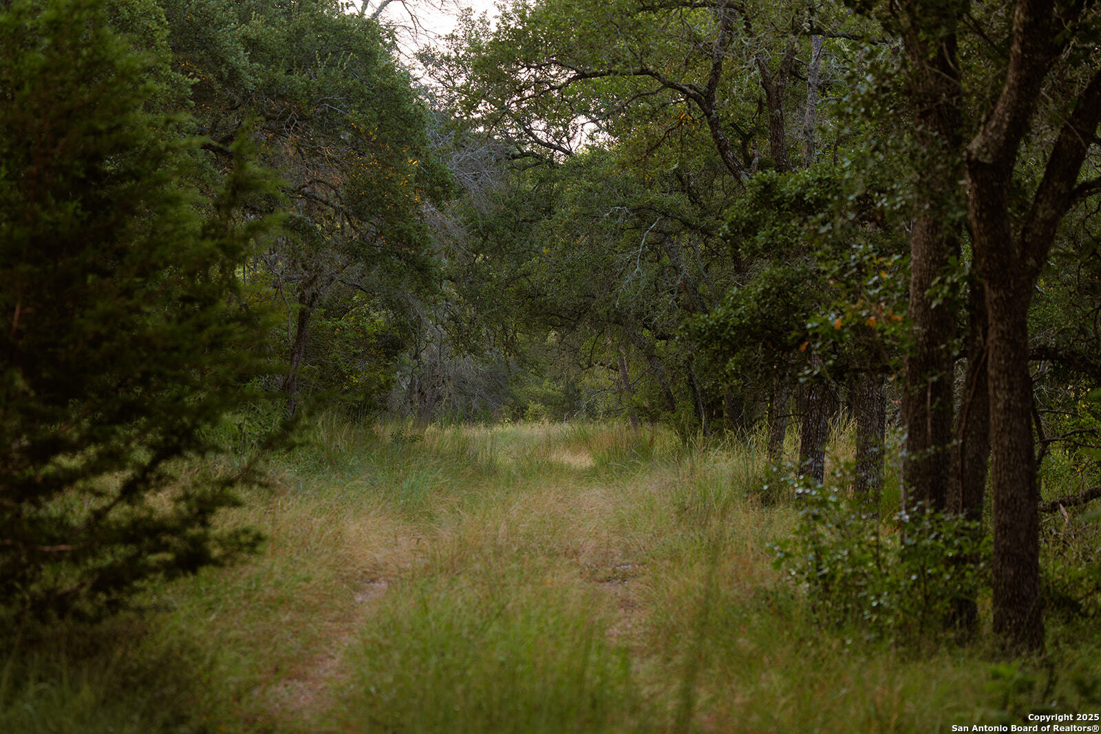 3067 Ranch Road 1888 Blanco TX 78606