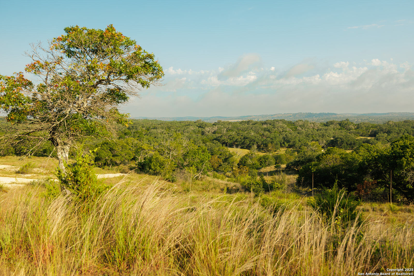 3067 Ranch Road 1888 Blanco TX 78606