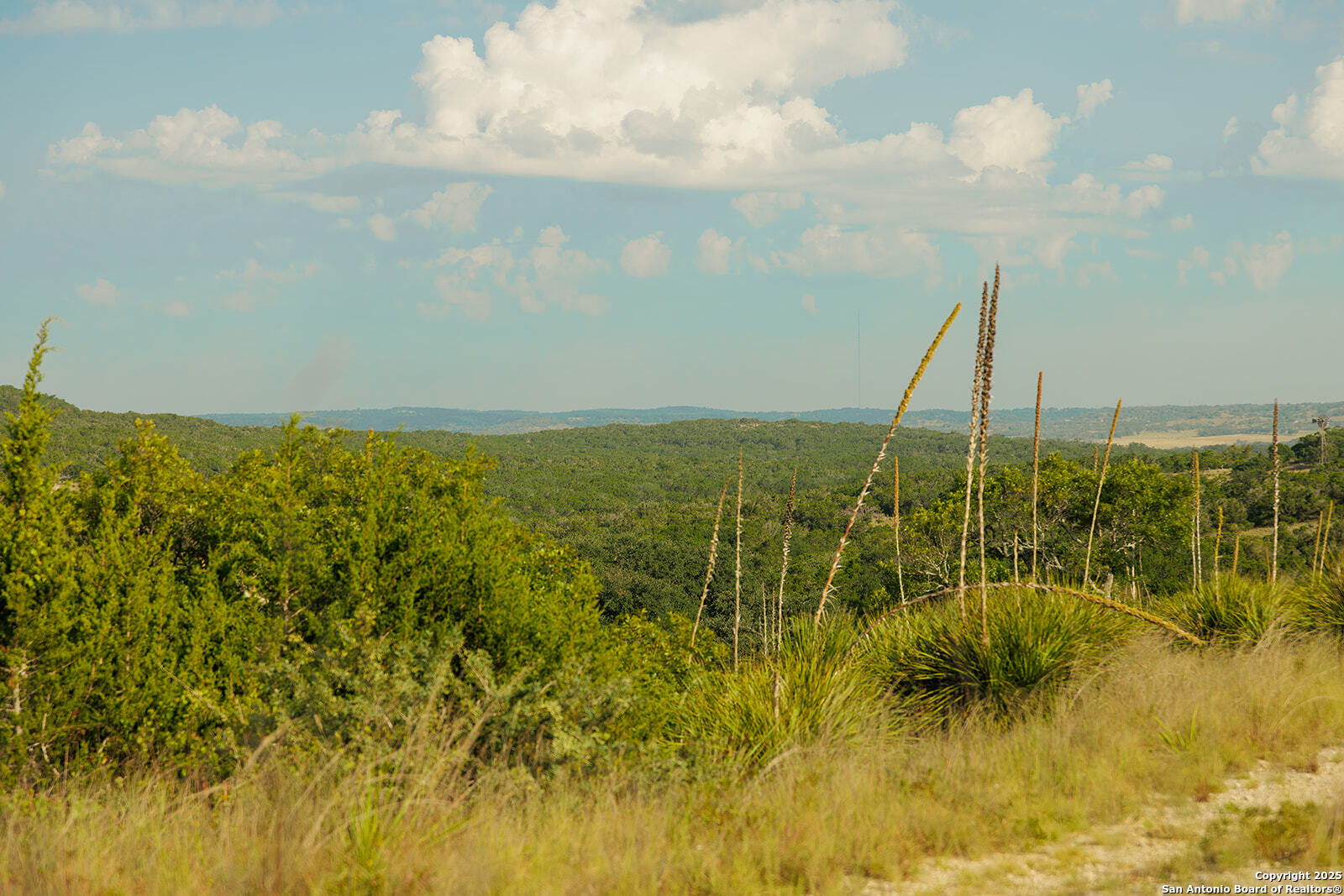 3067 Ranch Road 1888 Blanco TX 78606