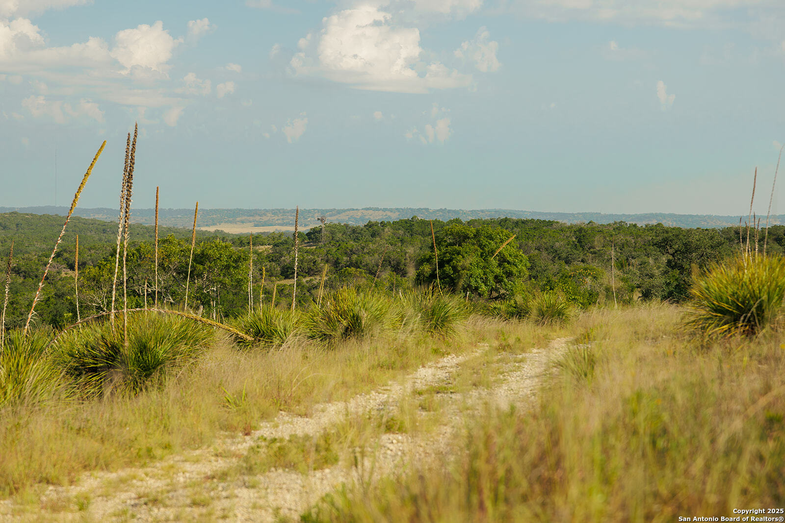 3067 Ranch Road 1888 Blanco TX 78606