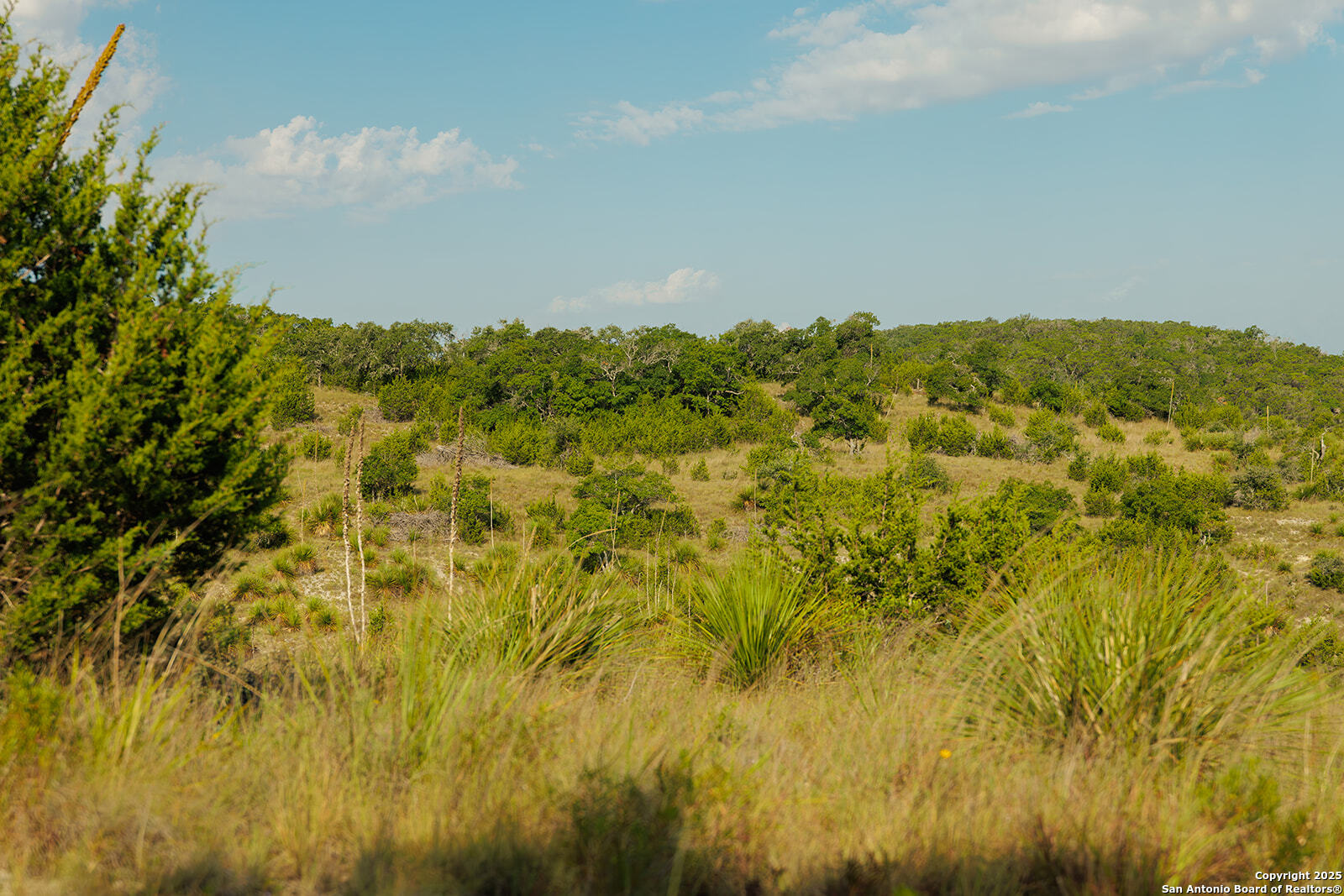 3067 Ranch Road 1888 Blanco TX 78606