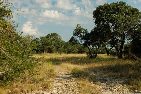 3067 Ranch Road 1888 Blanco TX 78606