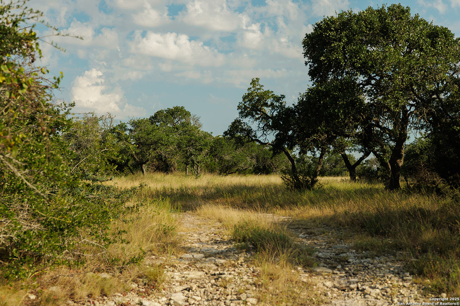 3067 Ranch Road 1888 Blanco TX 78606