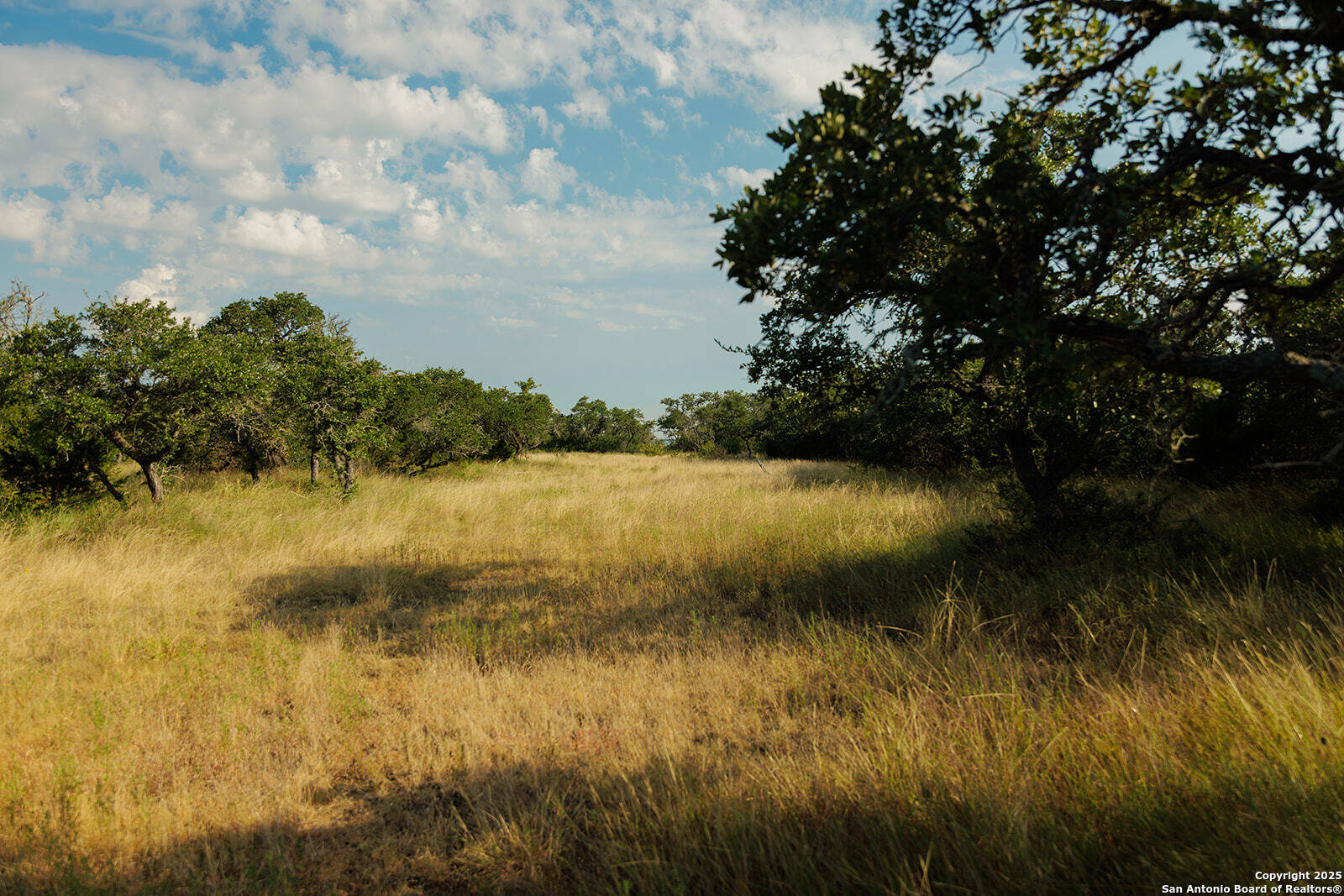 3067 Ranch Road 1888 Blanco TX 78606
