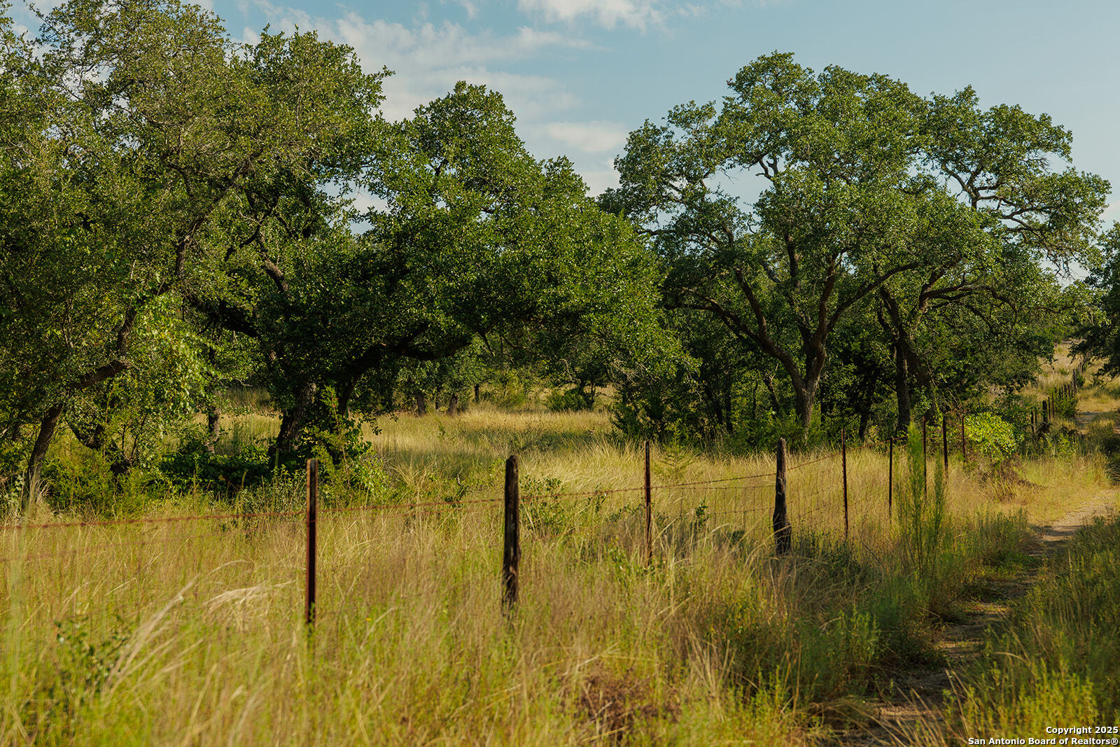 3067 Ranch Road 1888 Blanco TX 78606