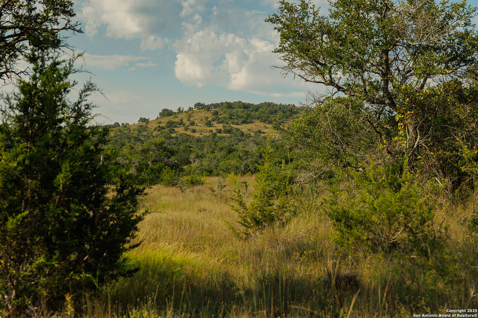3067 Ranch Road 1888 Blanco TX 78606