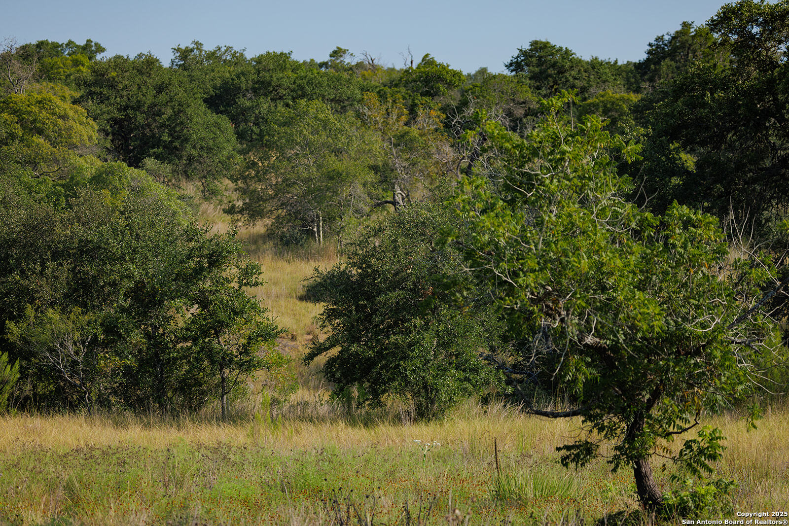 3067 Ranch Road 1888 Blanco TX 78606