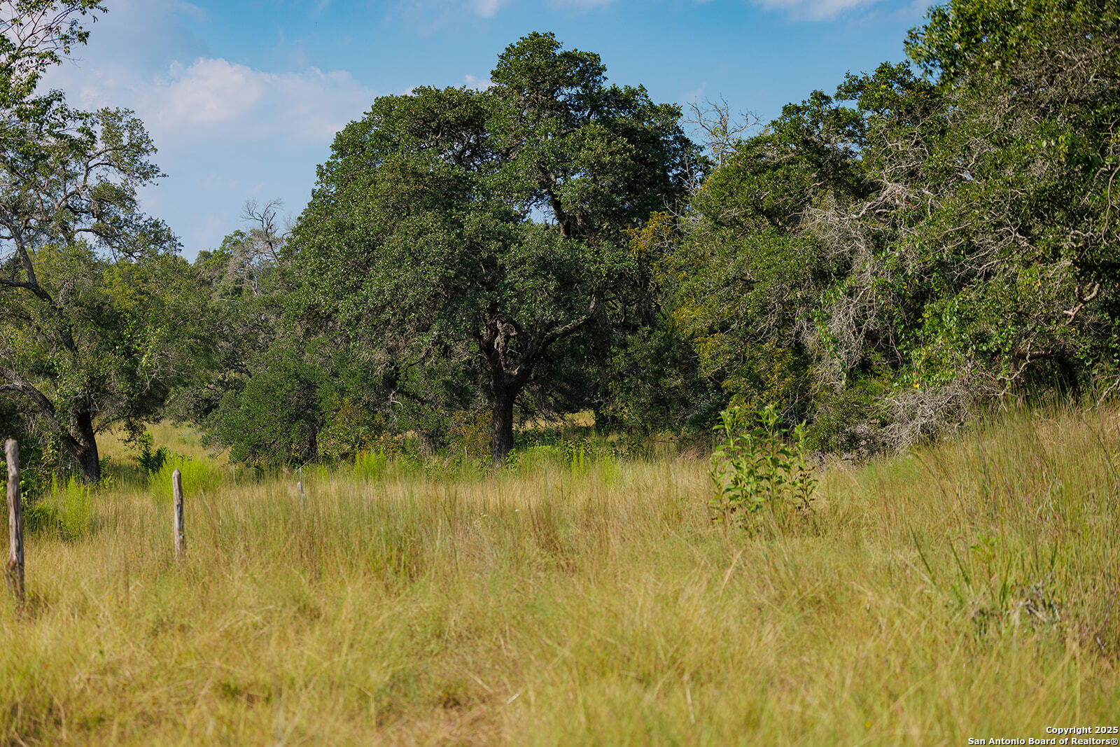 3067 Ranch Road 1888 Blanco TX 78606
