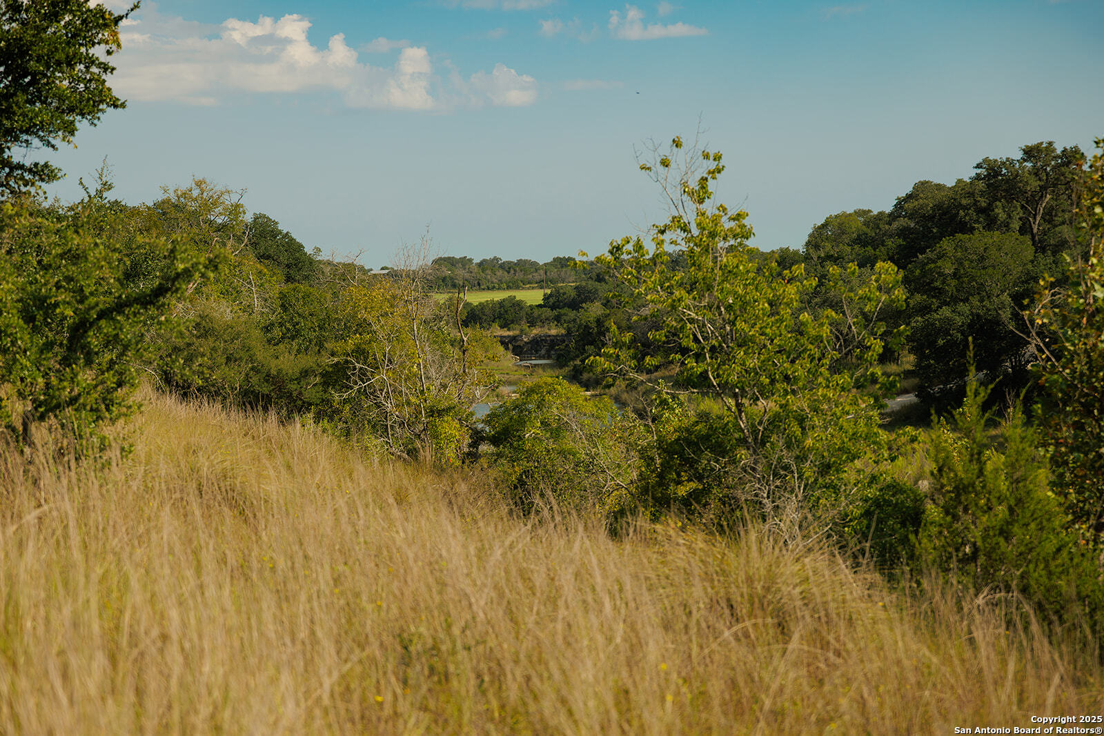 3067 Ranch Road 1888 Blanco TX 78606