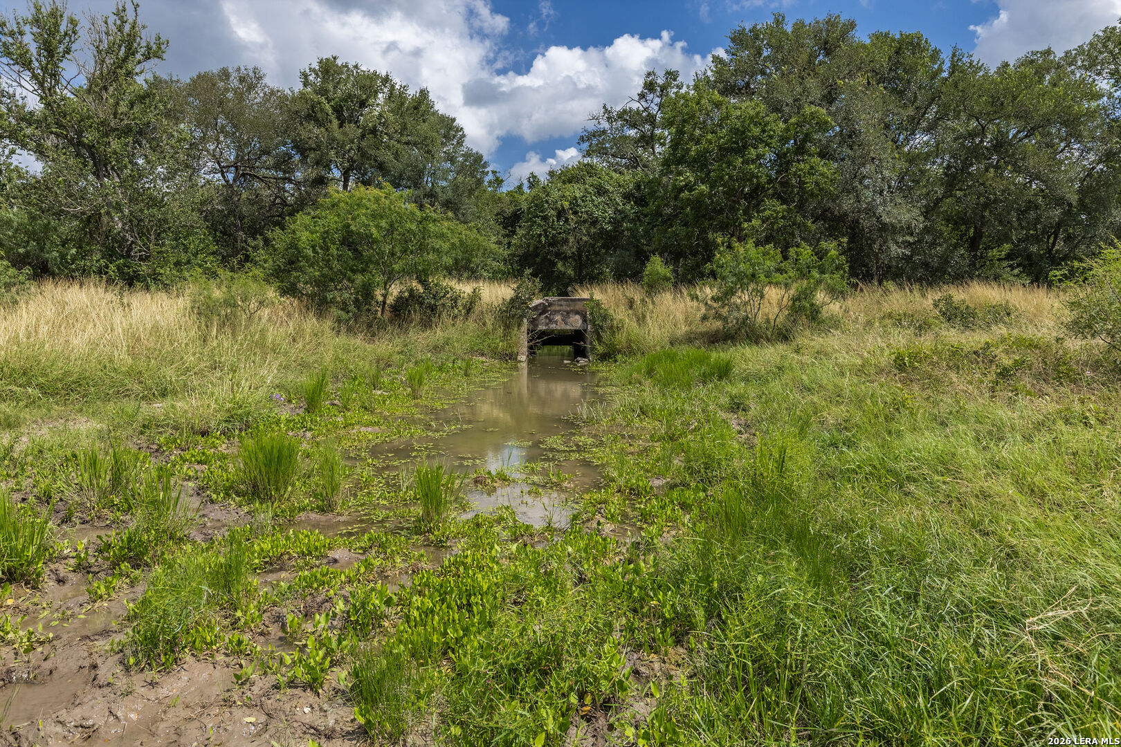 120 Anderson Hill Seguin TX 78155