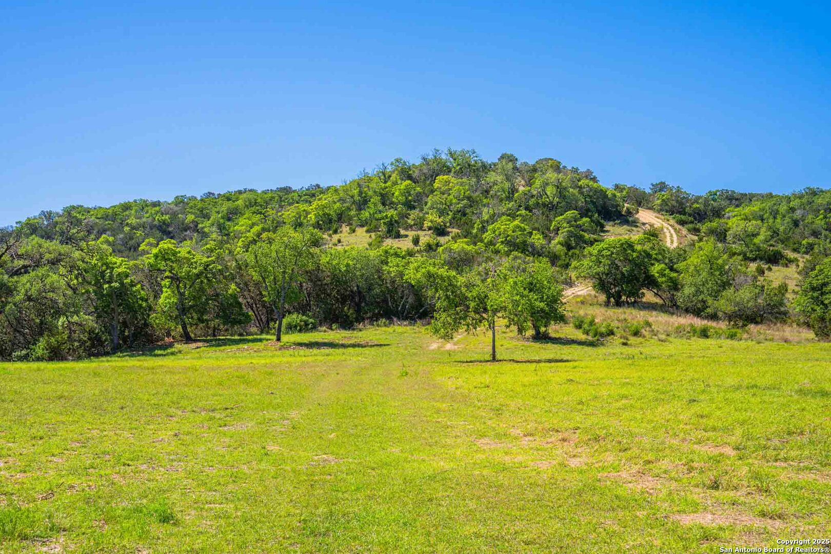 165 Flach Road Comfort TX 78013