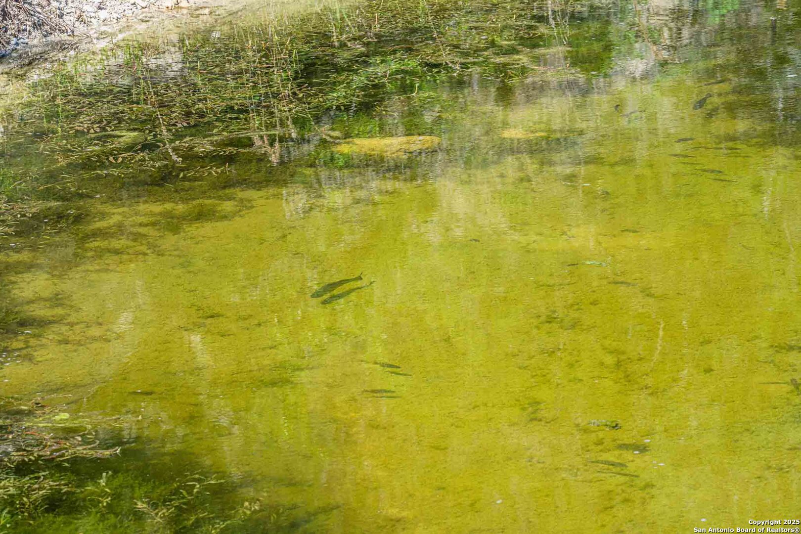 165 Flach Road Comfort TX 78013