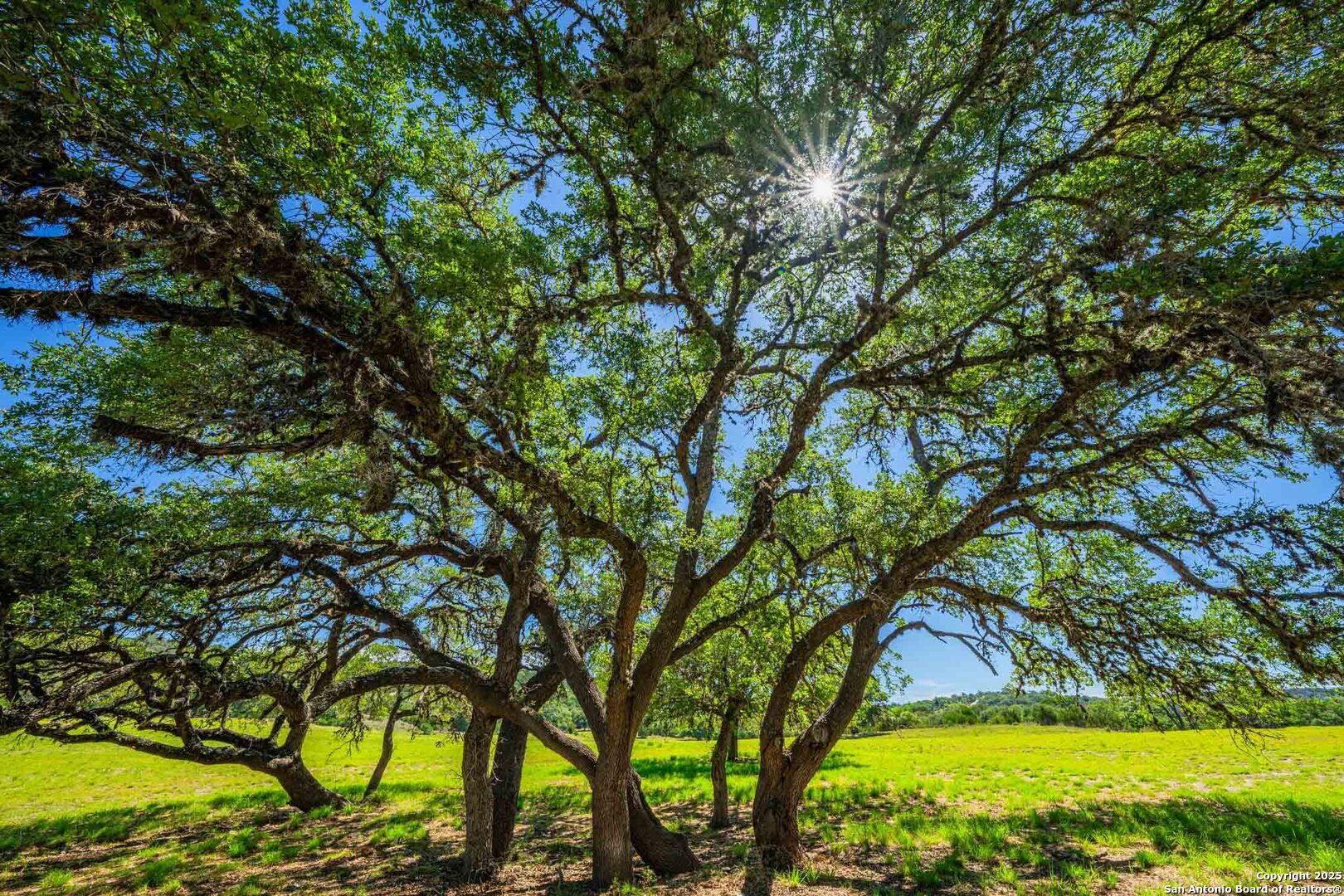 165 Flach Road Comfort TX 78013