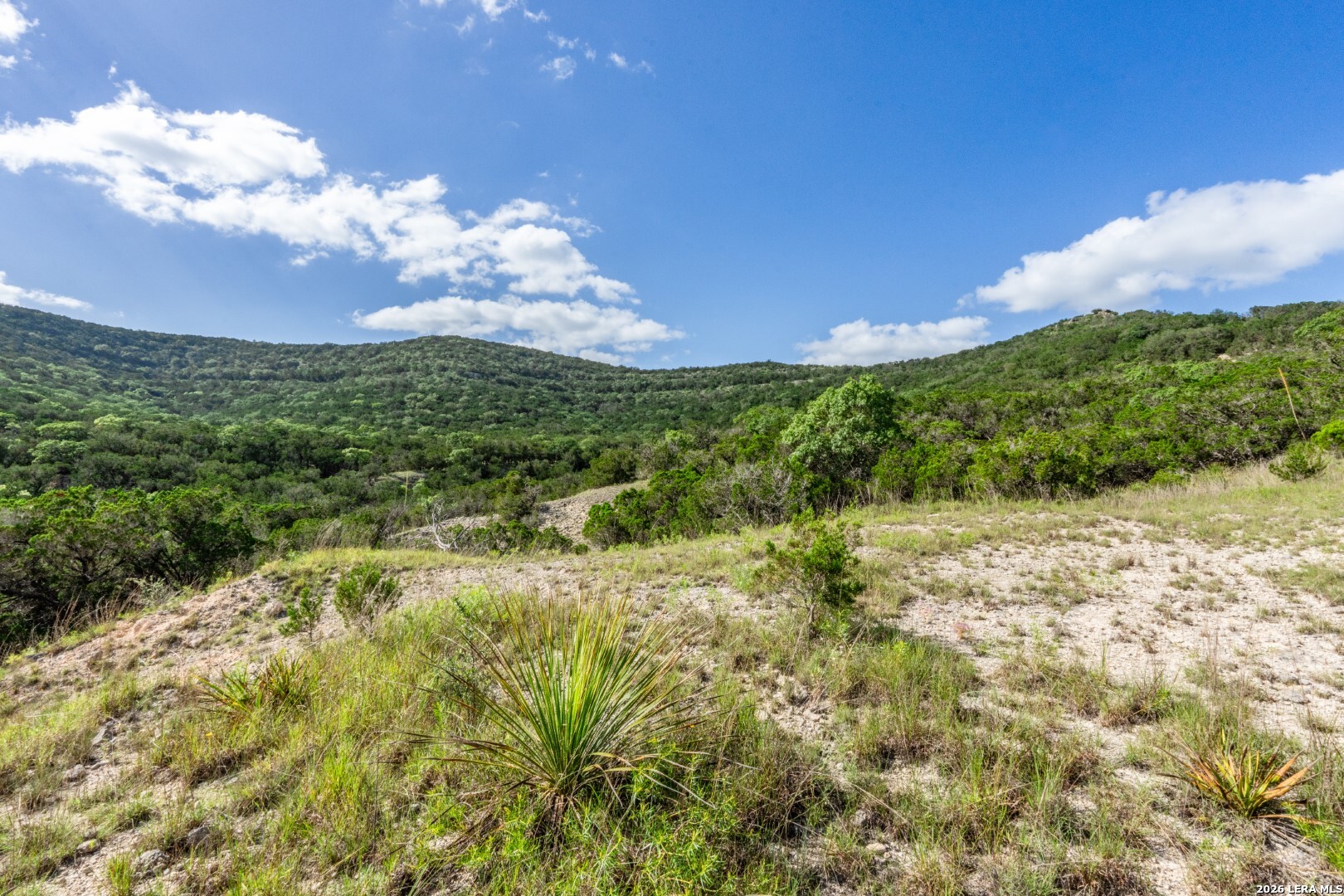 650 Evans Creek Road Vanderpool TX 78885