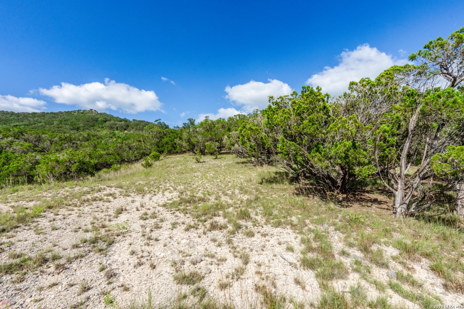 650 Evans Creek Road Vanderpool TX 78885