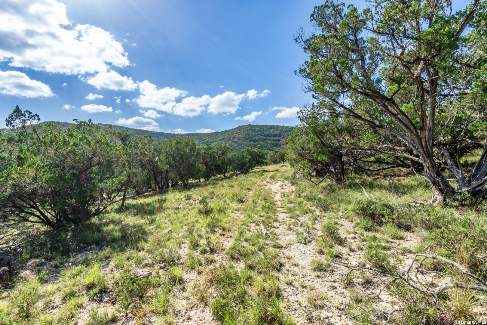 650 Evans Creek Road Vanderpool TX 78885