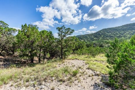 650 Evans Creek Road Vanderpool TX 78885