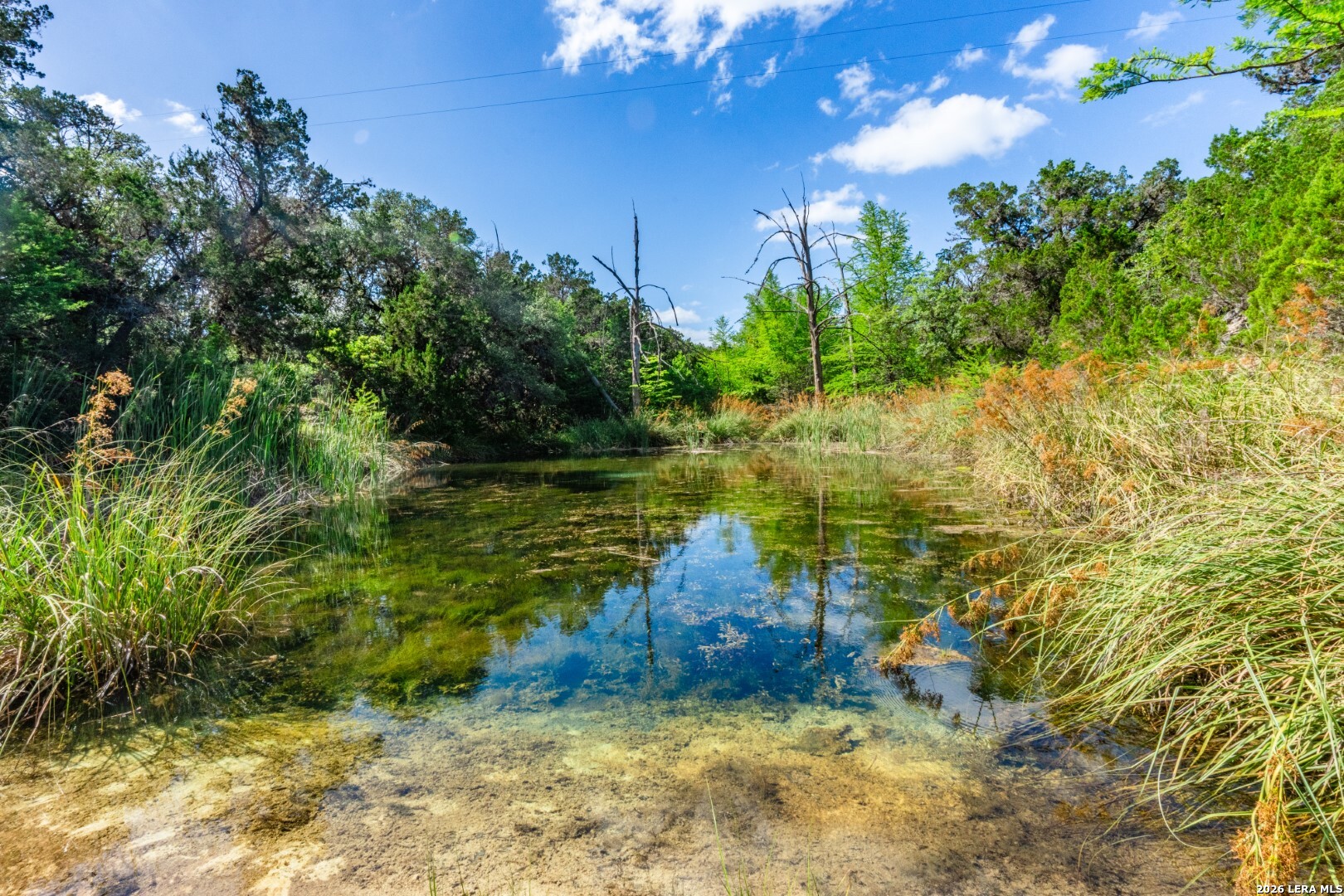 650 Evans Creek Road Vanderpool TX 78885