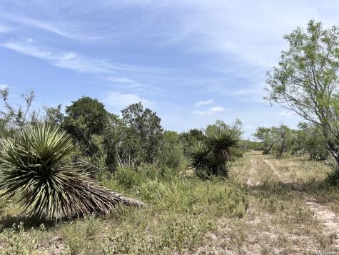 0 Highway 359 Benavides TX 78341