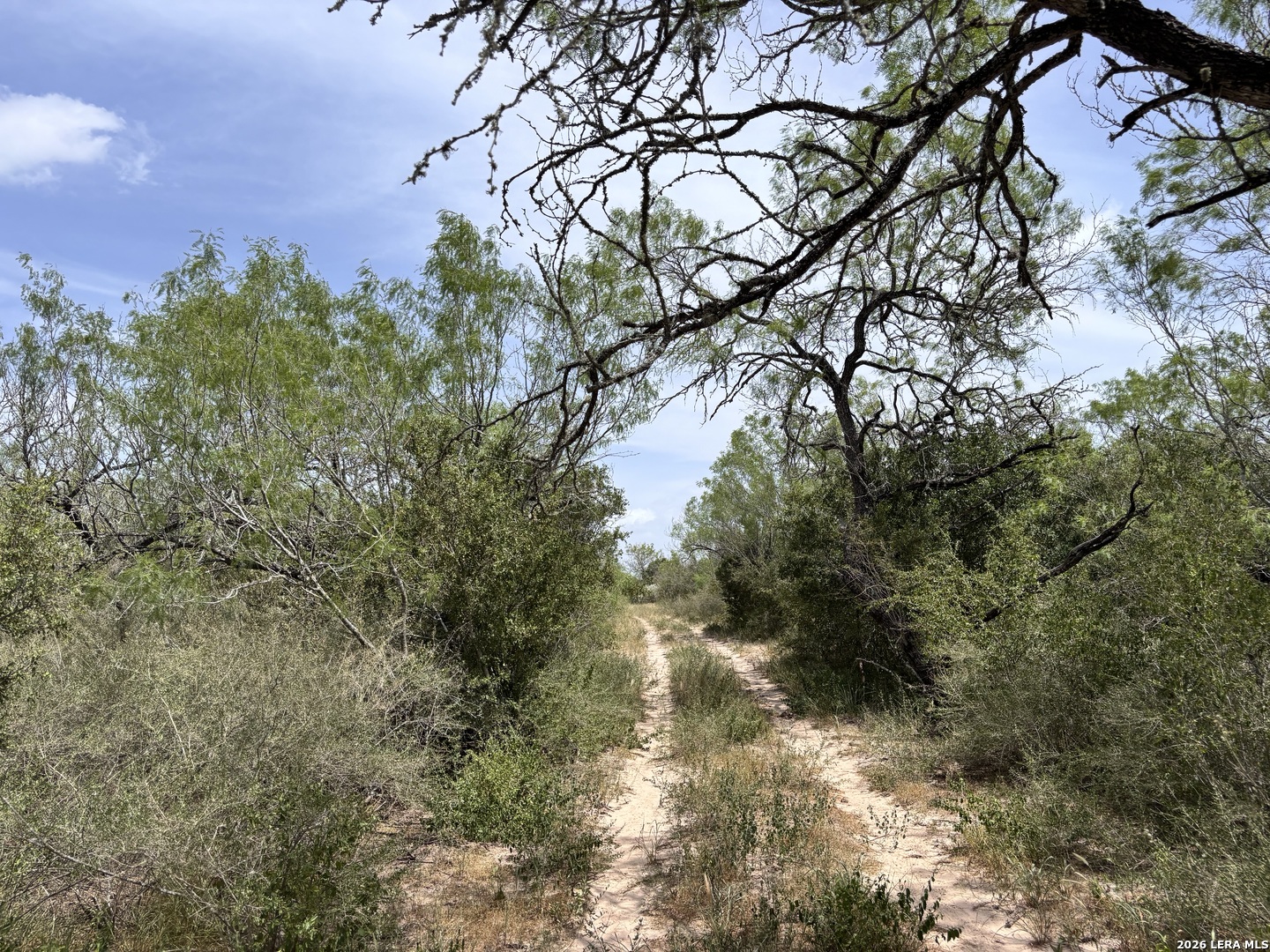 0 Highway 359 Benavides TX 78341