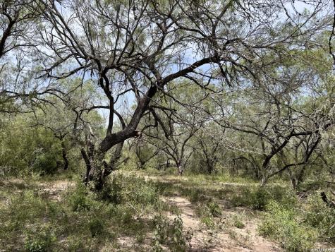 0 Highway 359 Benavides TX 78341