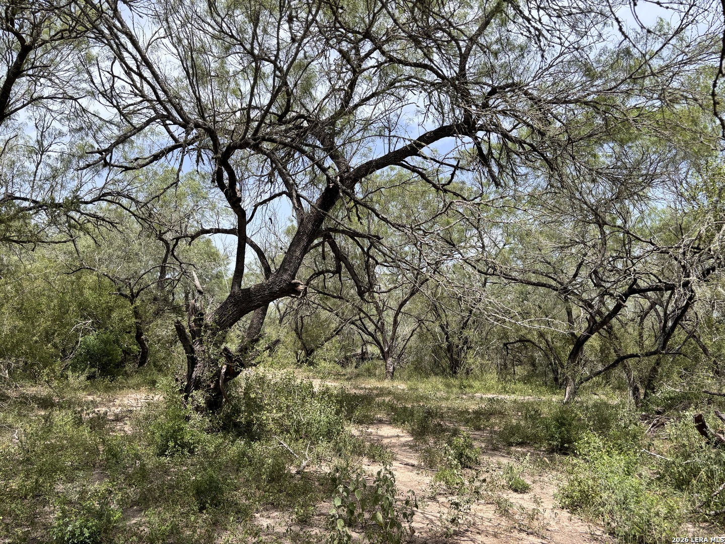 0 Highway 359 Benavides TX 78341