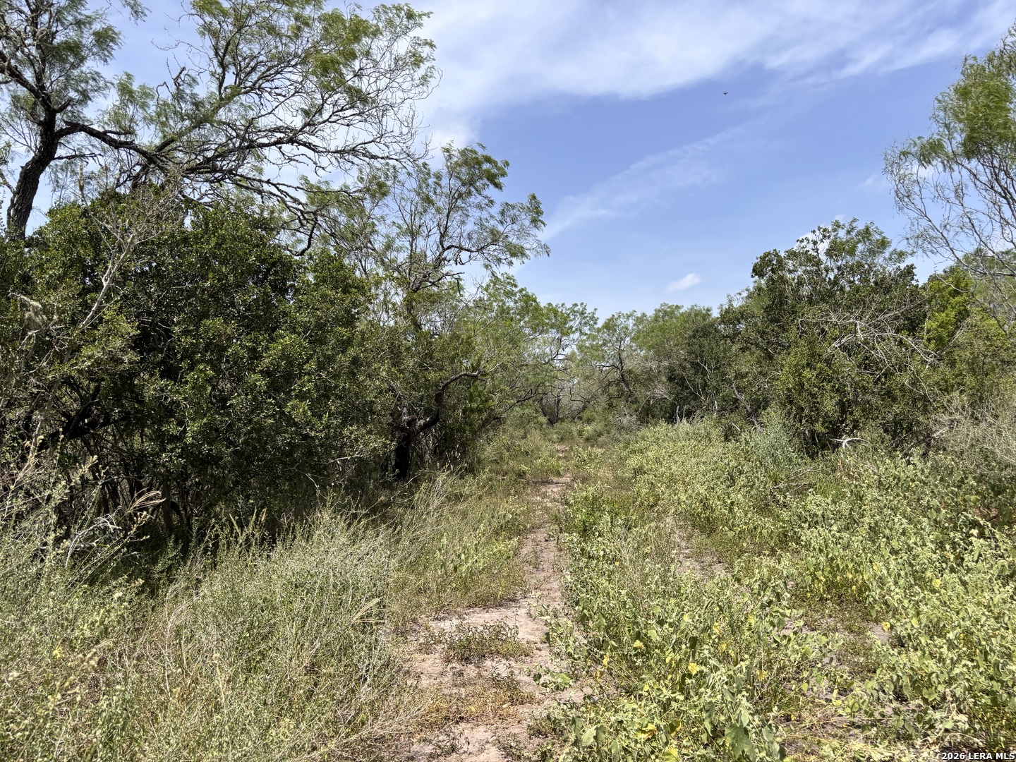 0 Highway 359 Benavides TX 78341