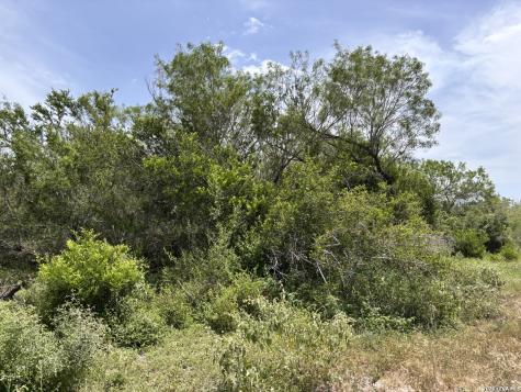 0 Highway 359 Benavides TX 78341