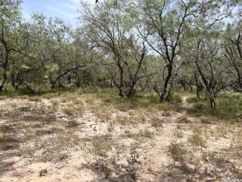 0 Highway 359 Benavides TX 78341