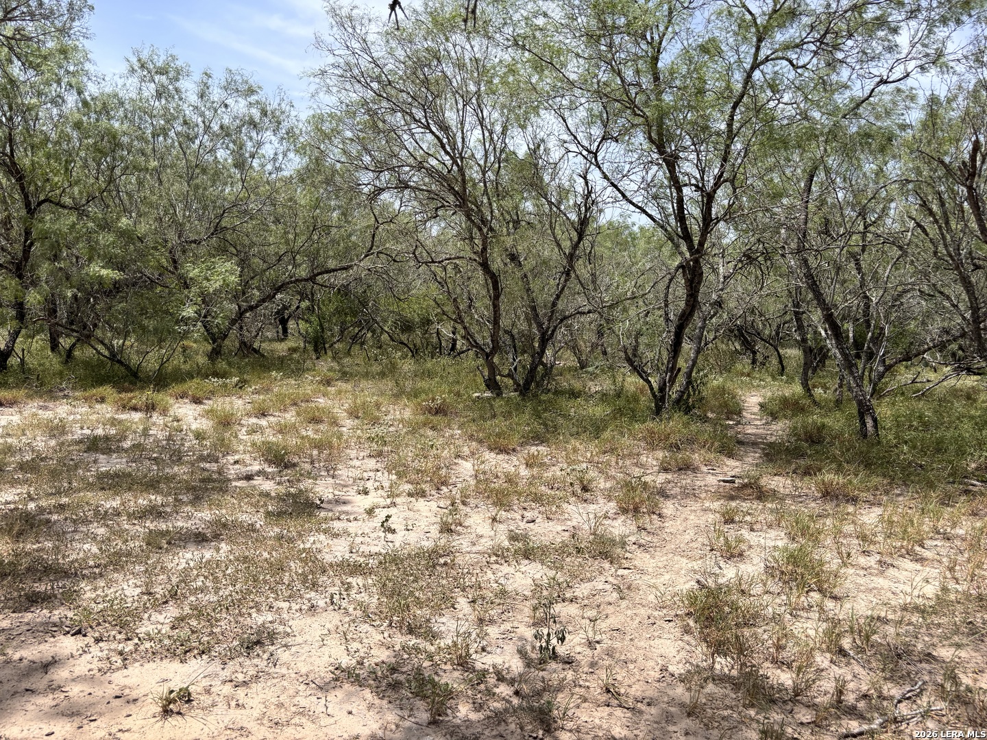 0 Highway 359 Benavides TX 78341