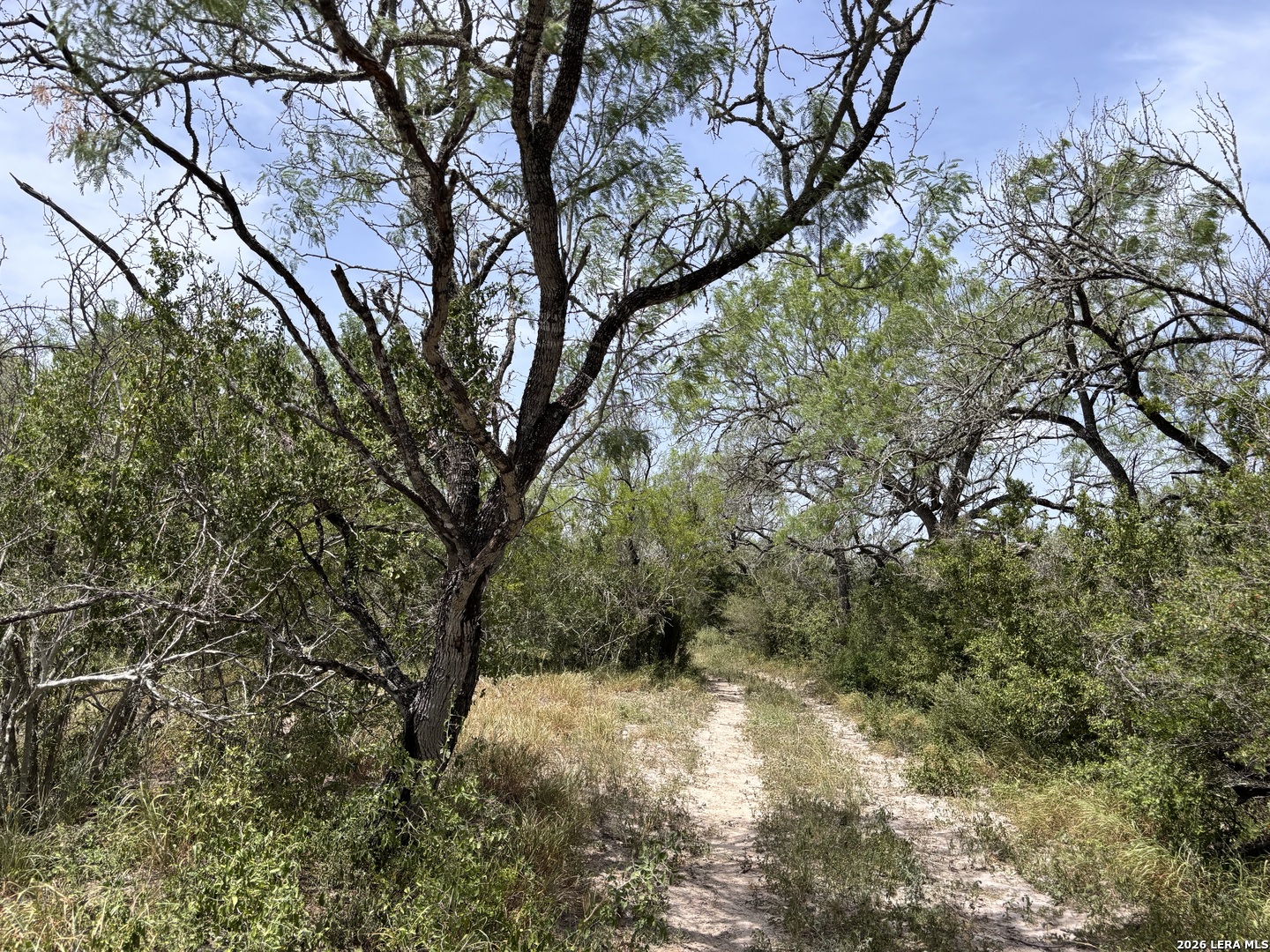 0 Highway 359 Benavides TX 78341
