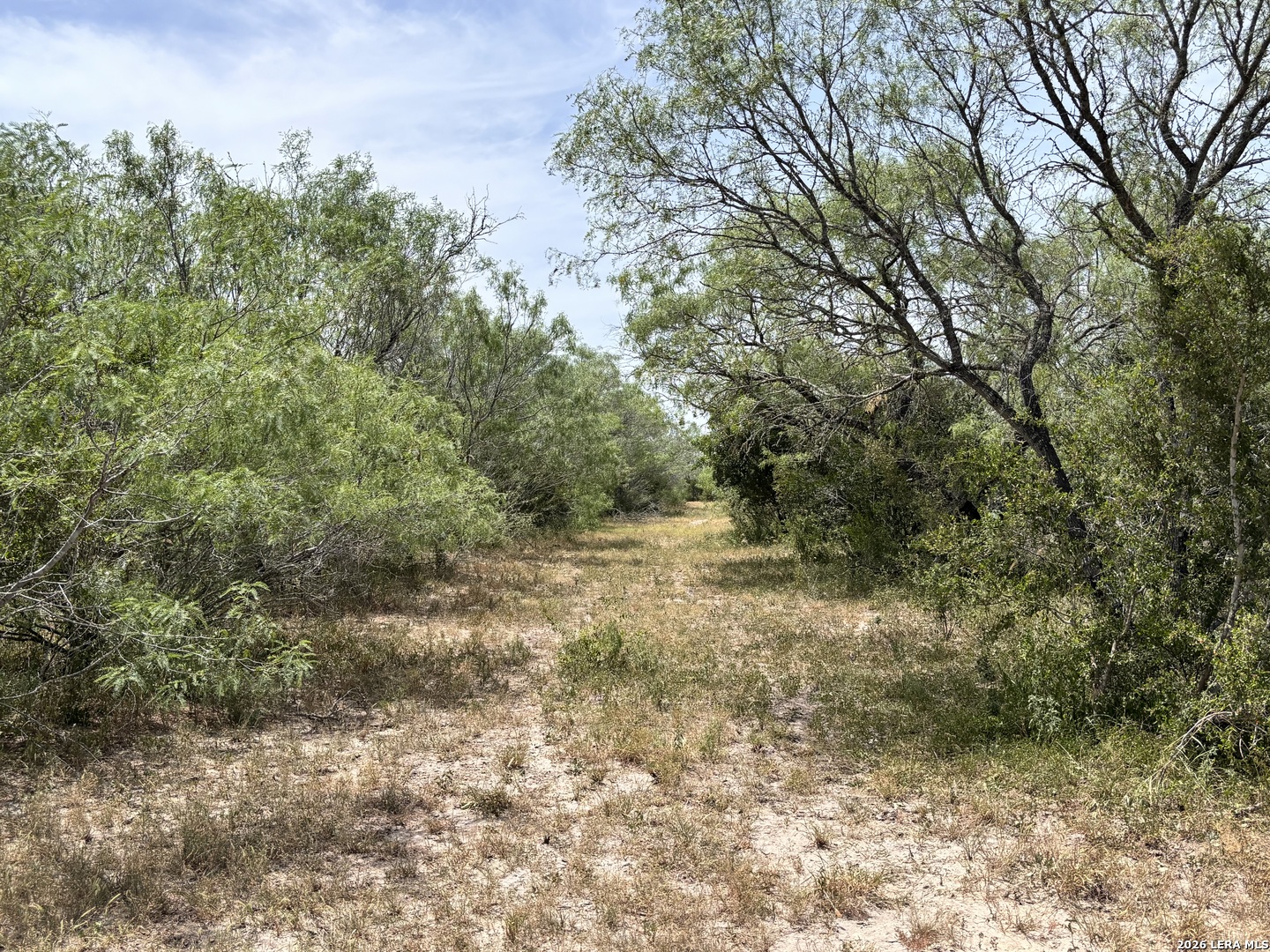 0 Highway 359 Benavides TX 78341