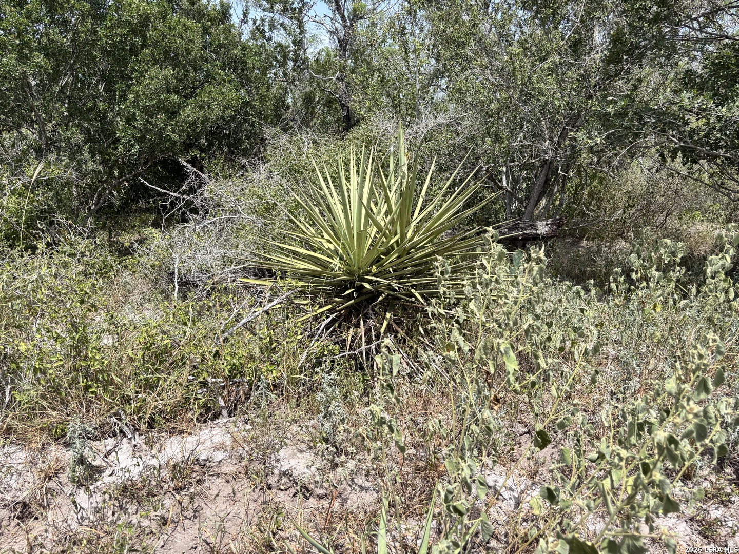 0 Highway 359 Benavides TX 78341
