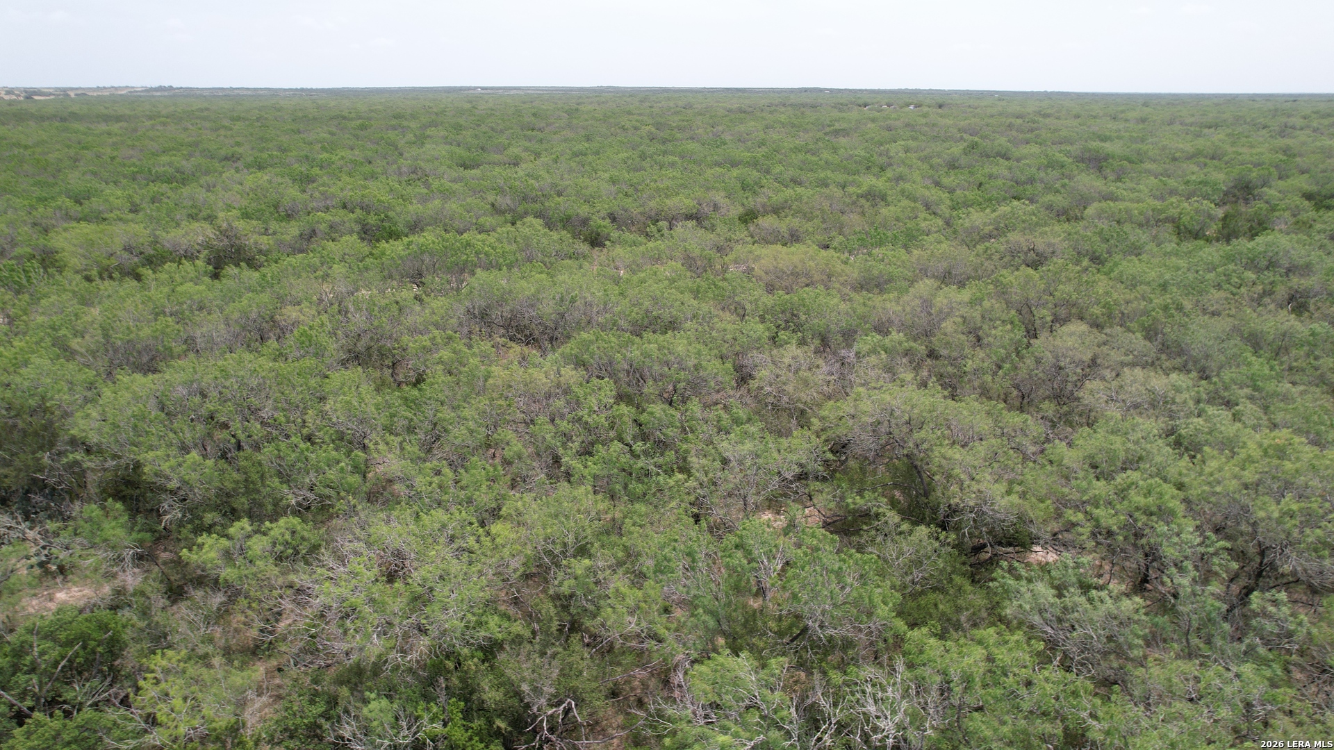 0 Highway 359 Benavides TX 78341