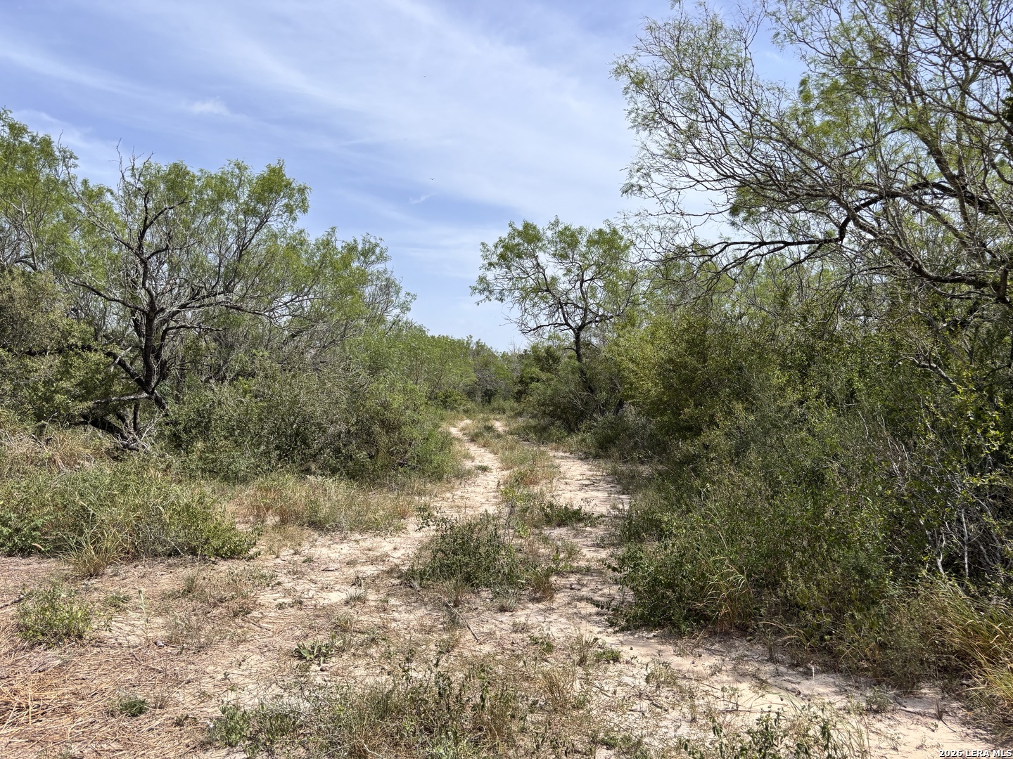 0 Highway 359 Benavides TX 78341