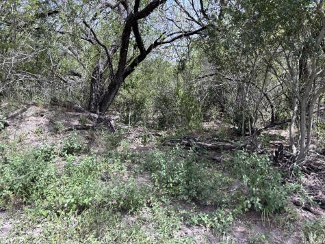 0 Highway 359 Benavides TX 78341