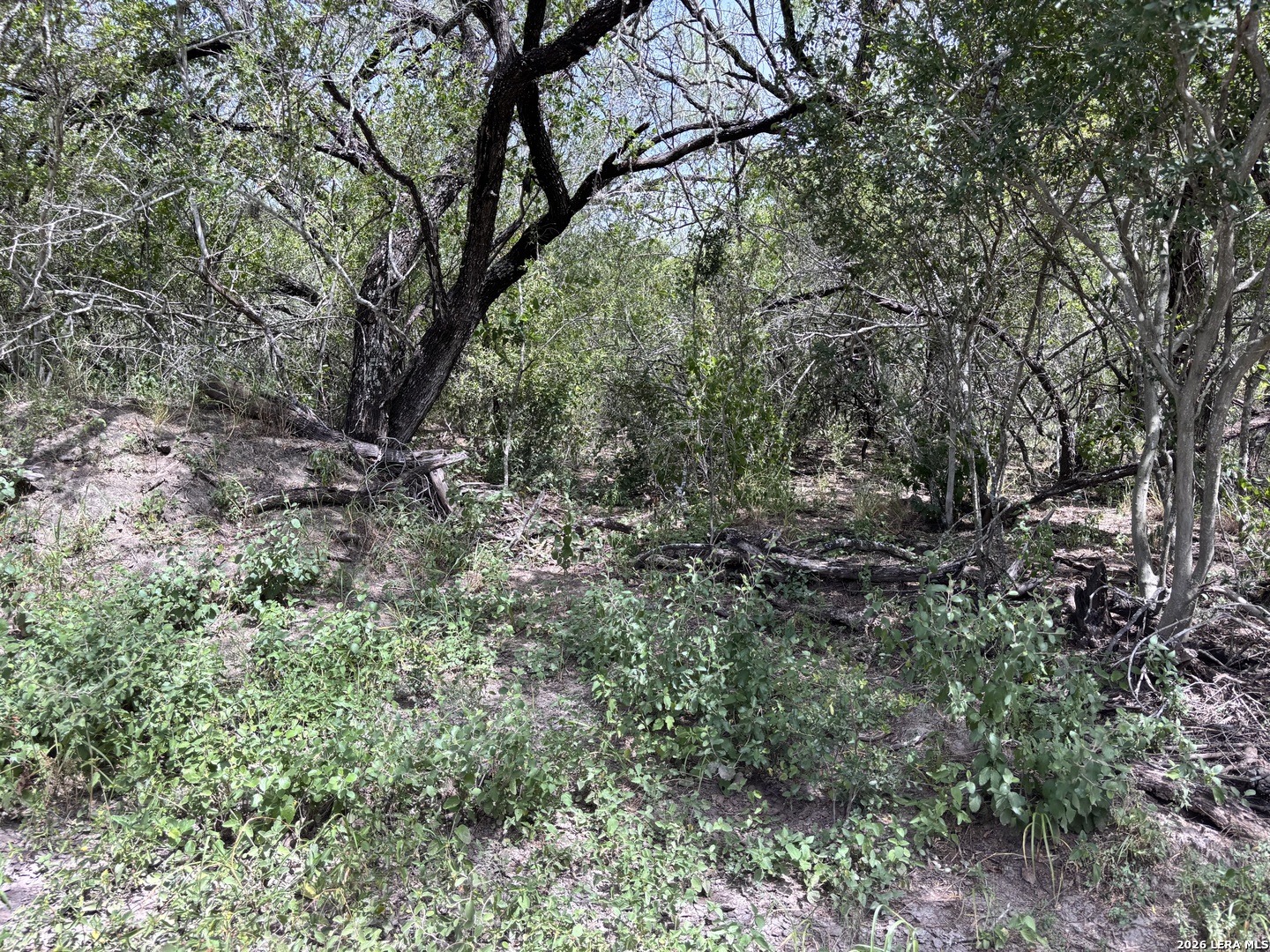 0 Highway 359 Benavides TX 78341
