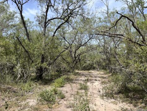 0 Highway 359 Benavides TX 78341
