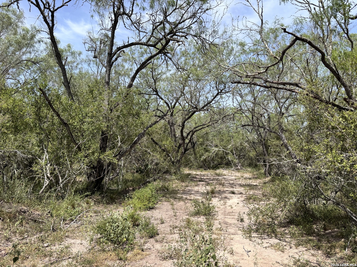0 Highway 359 Benavides TX 78341
