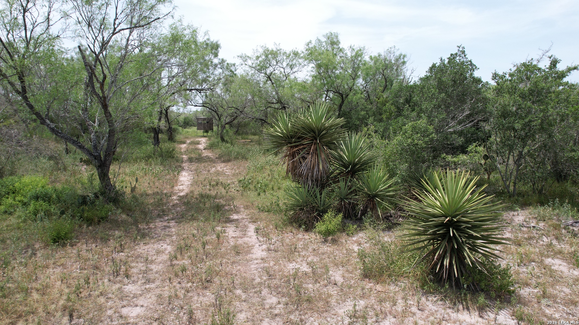 0 Highway 359 Benavides TX 78341