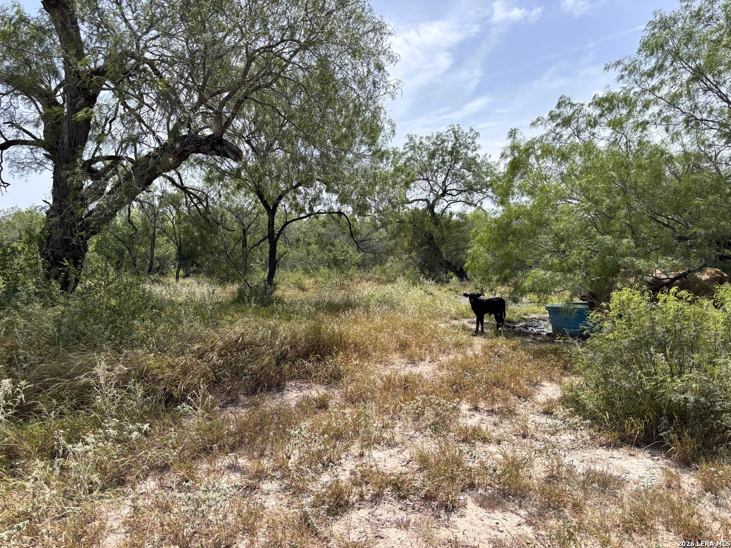 0 Highway 359 Benavides TX 78341