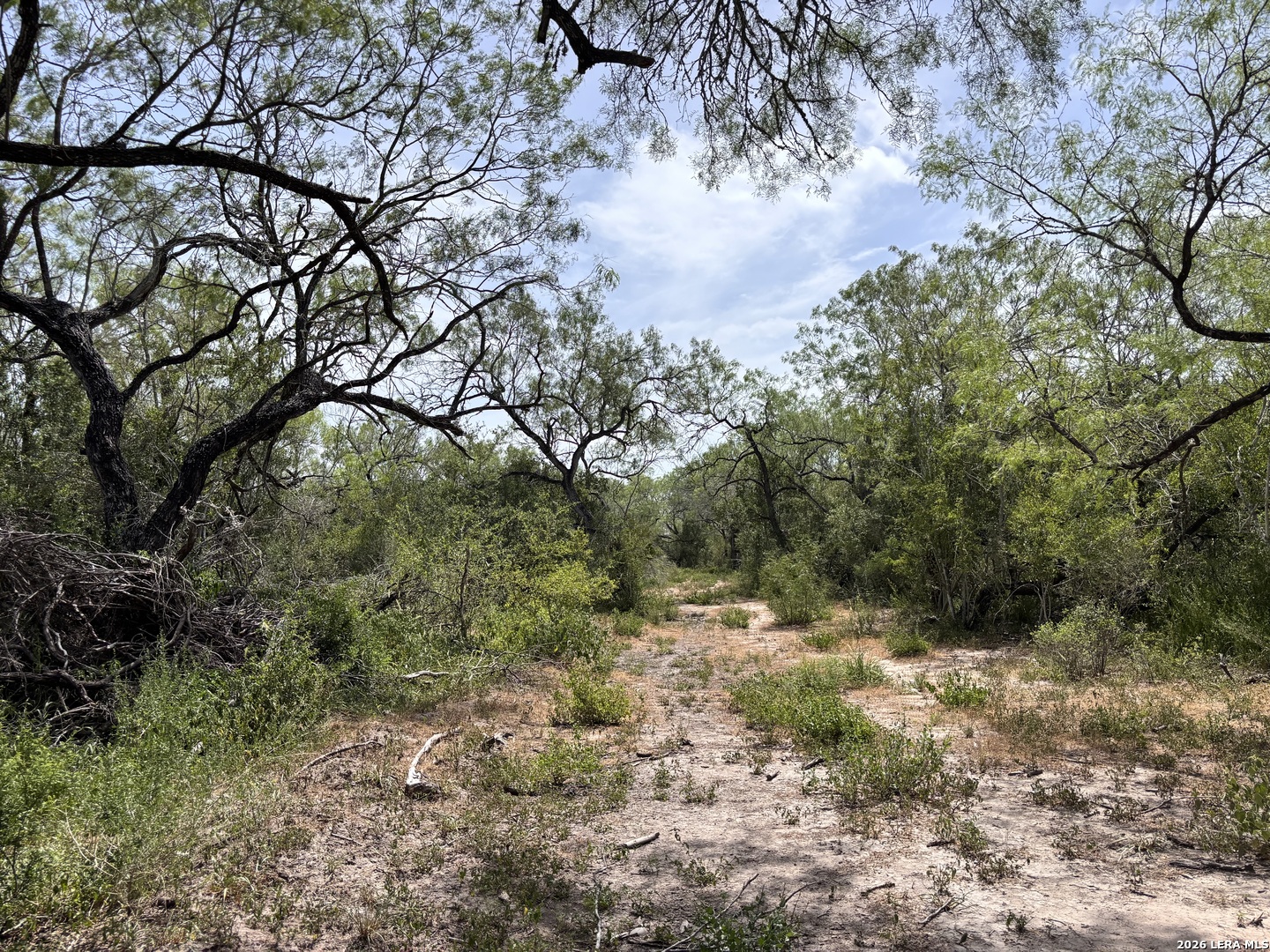 0 Highway 359 Benavides TX 78341