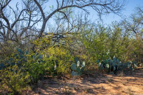 1048 County Road 640 Hondo TX 78861