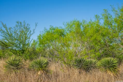 1048 County Road 640 Hondo TX 78861