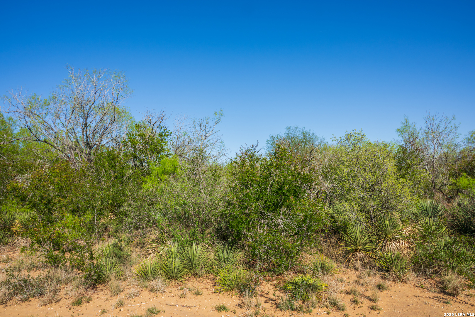 1048 County Road 640 Hondo TX 78861