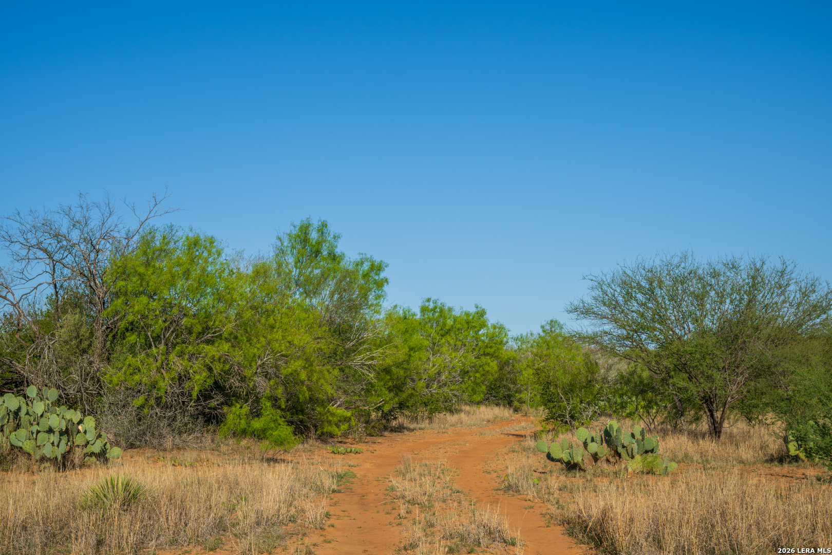 1048 County Road 640 Hondo TX 78861