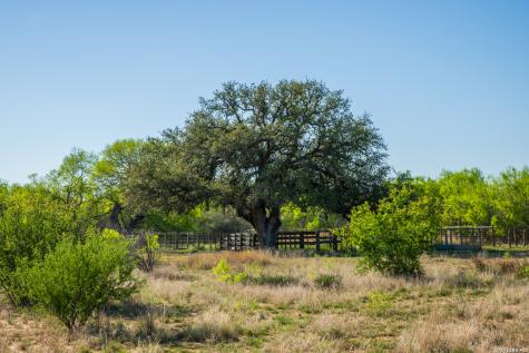 1048 County Road 640 Hondo TX 78861